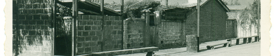 Comienzos Fortín ferroviario
