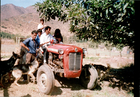 En el tractor