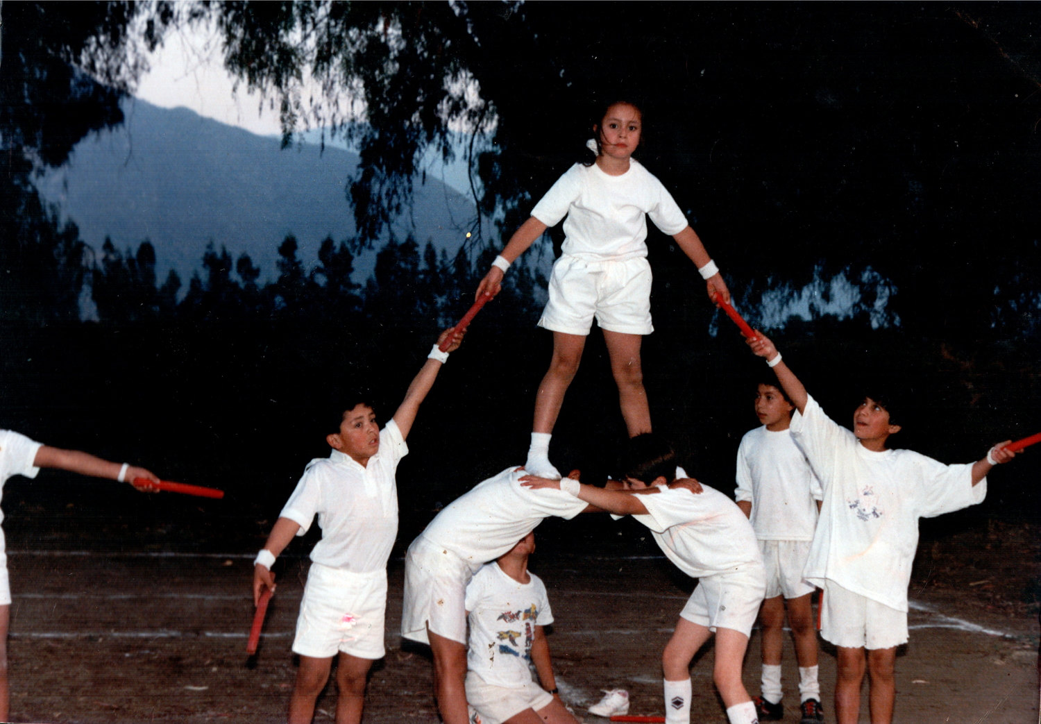 Revista de gimnasia Revista de gimnasia