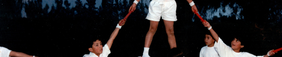 Revista de gimnasia