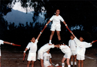Revista de gimnasia