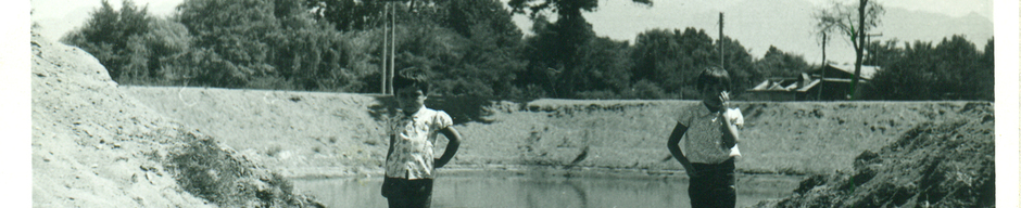 Tranque Santa Rosa