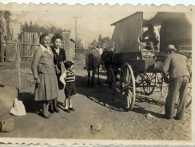 Antigua carreta