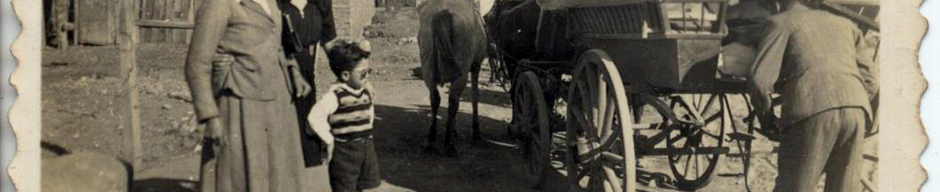 Antigua carreta