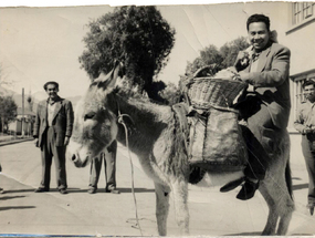 Paseo en burro
