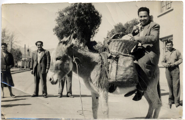 Paseo en burro