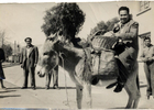 Paseo en burro