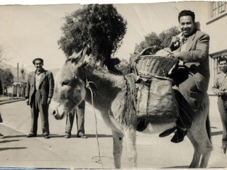 Paseo en burro