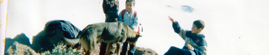 Paseo al cerro