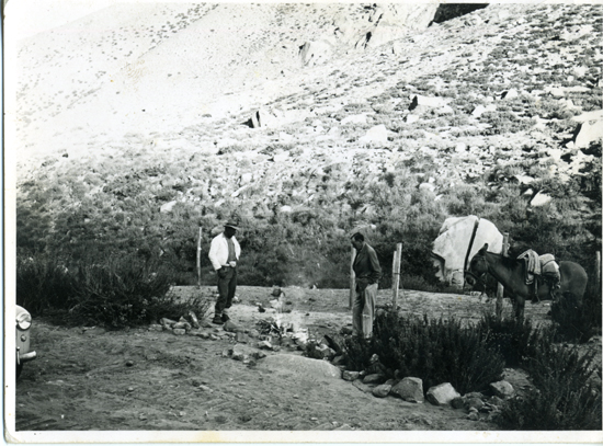 Arrieros de la Hacienda El Tangue Arrieros de la Hacienda El Tangue