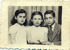 Hermanos Pávez Peñaloza