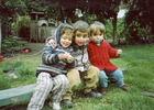 Amor de primos
