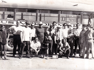 Buses Verdemar