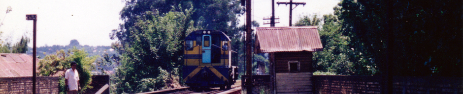 Estación EFE Osorno