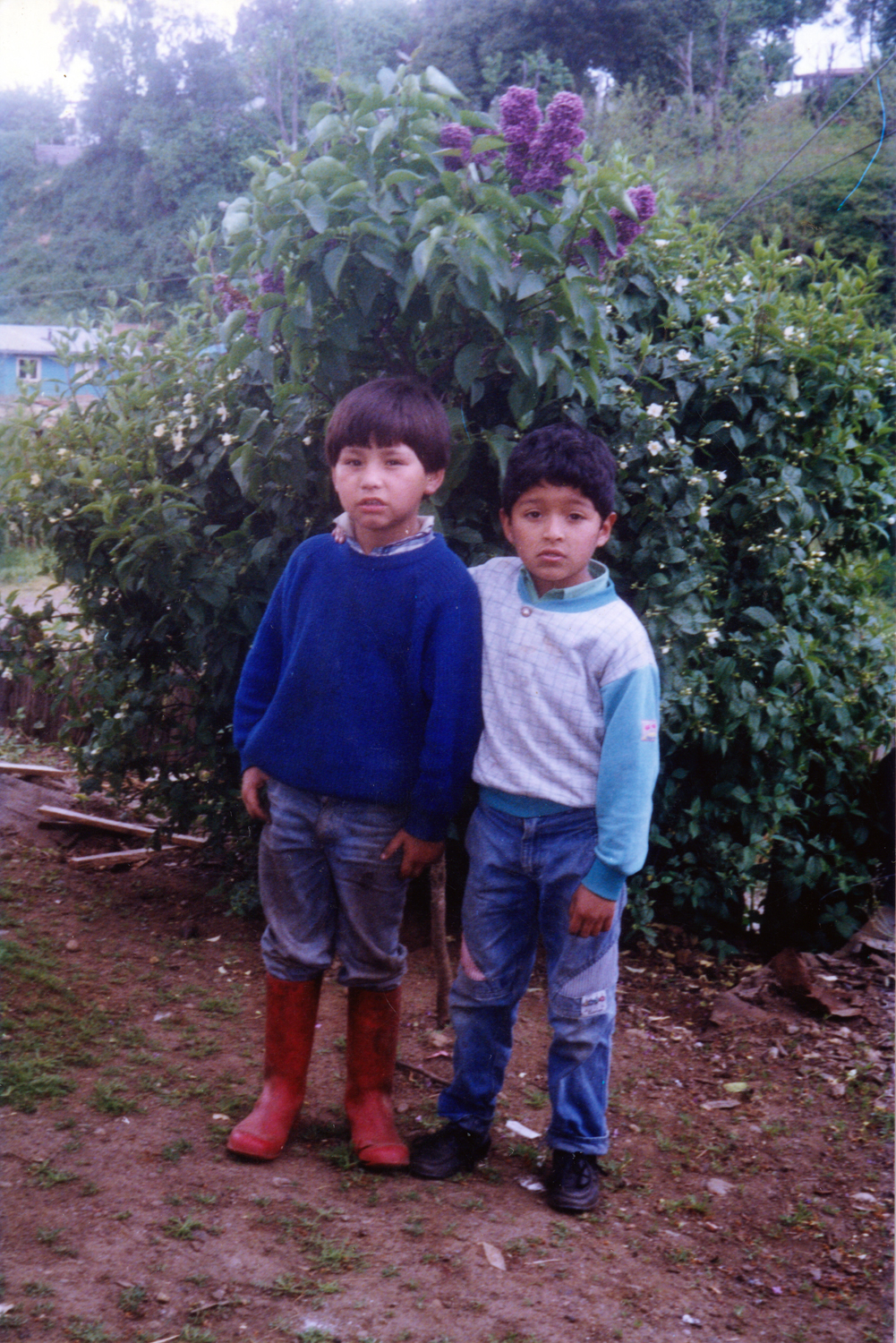 Los amigos Los amigos