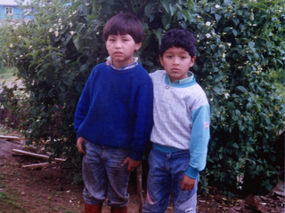 Los amigos