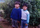 Los amigos