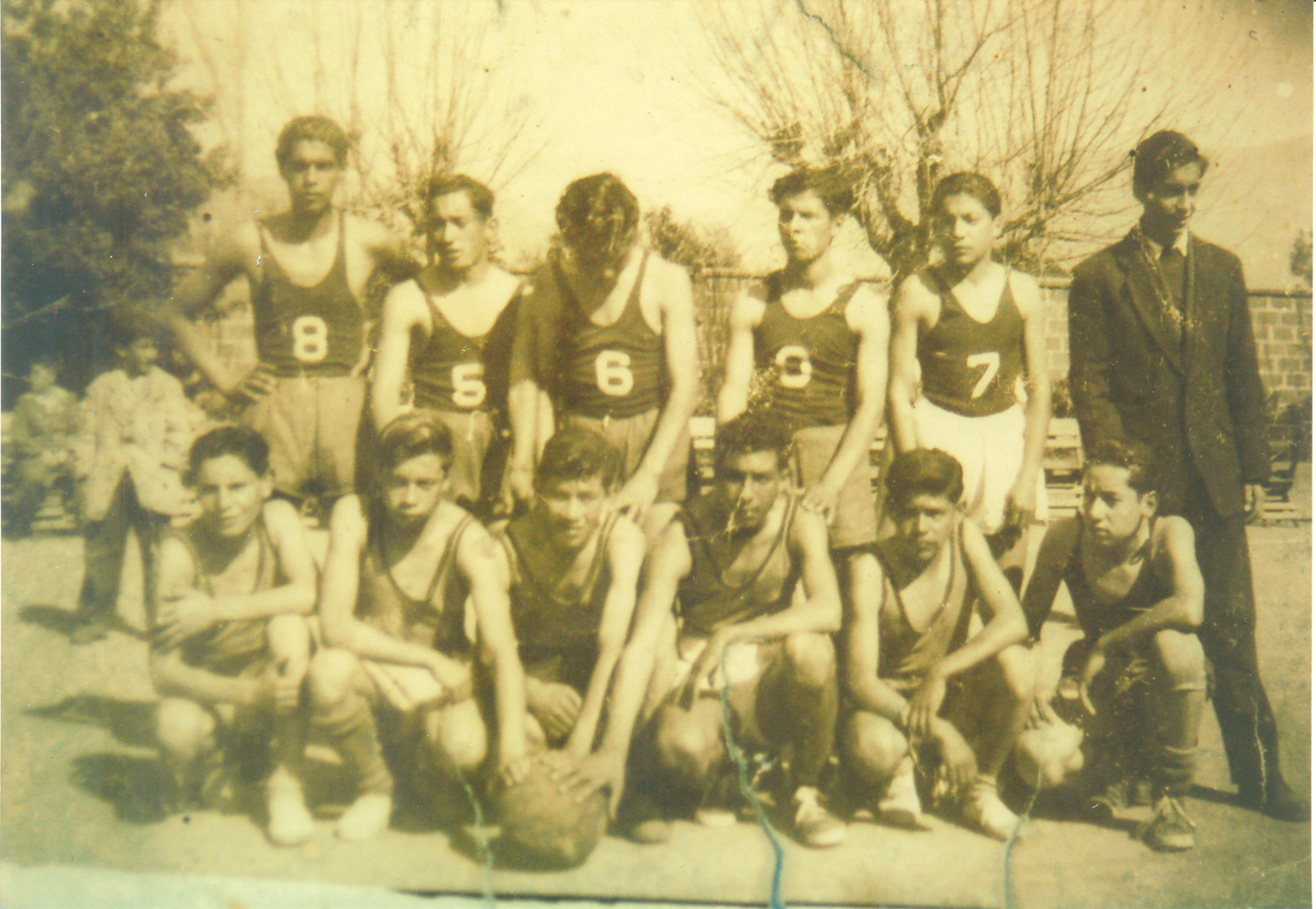Selección de básquetbol Selección de básquetbol