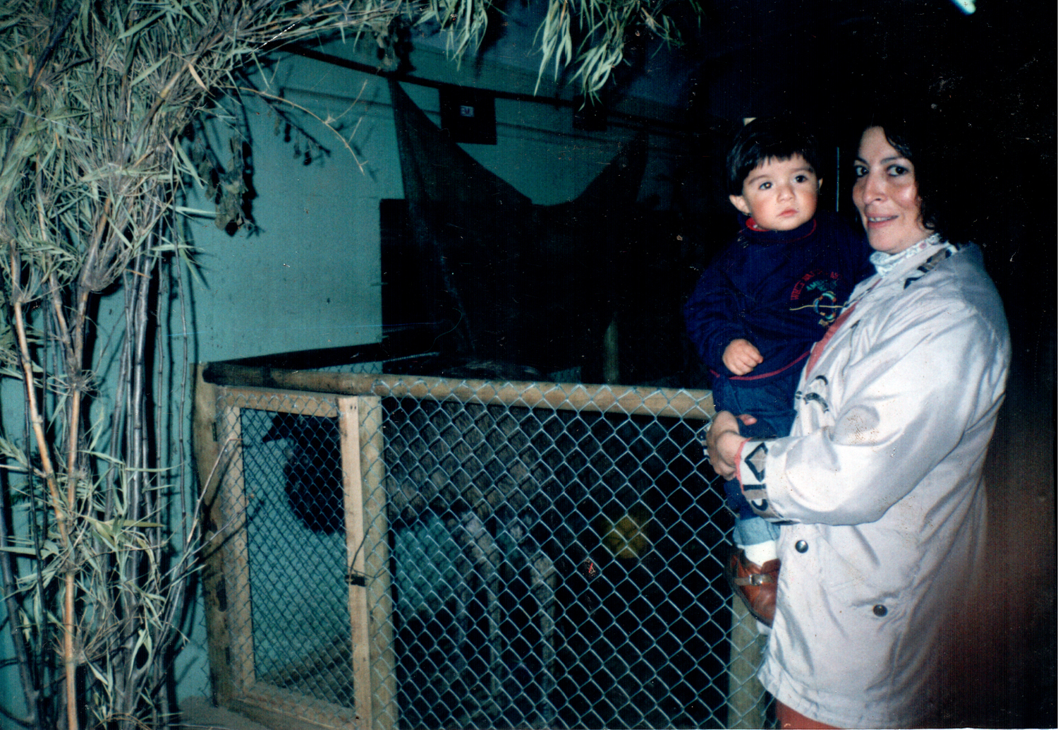 En Sago Fisur con mi hijo En Sago Fisur con mi hijo