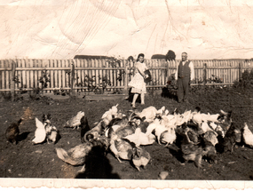 Padres en el campo