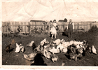 Padres en el campo