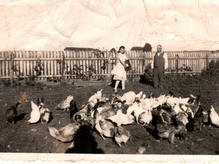 Padres en el campo