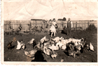 Padres en el campo