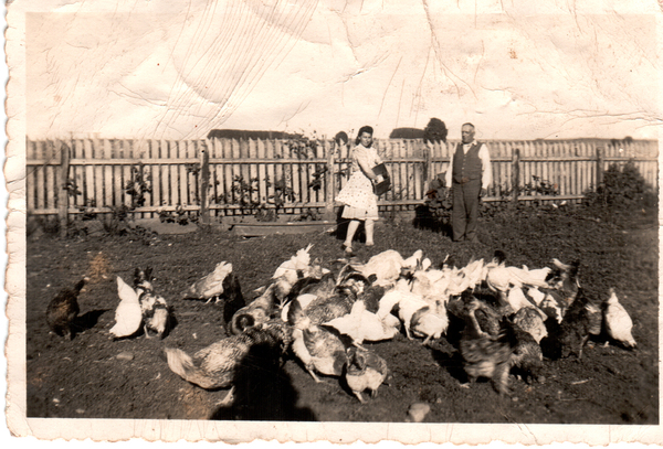 Padres en el campo