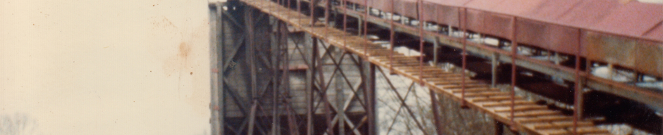 Al silo de carbón