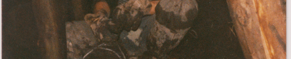 Minero Pedro Méndez