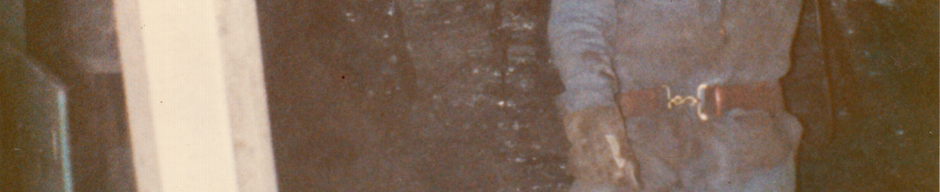 Mina El Laurel de Pupunahue