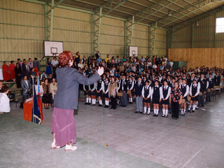Licenciatura Octavos básicos
