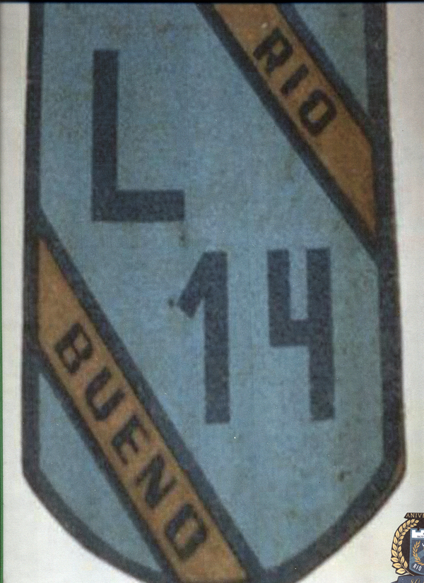 Escudo Liceo