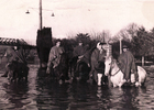Terremoto 1960, Riñihuazo