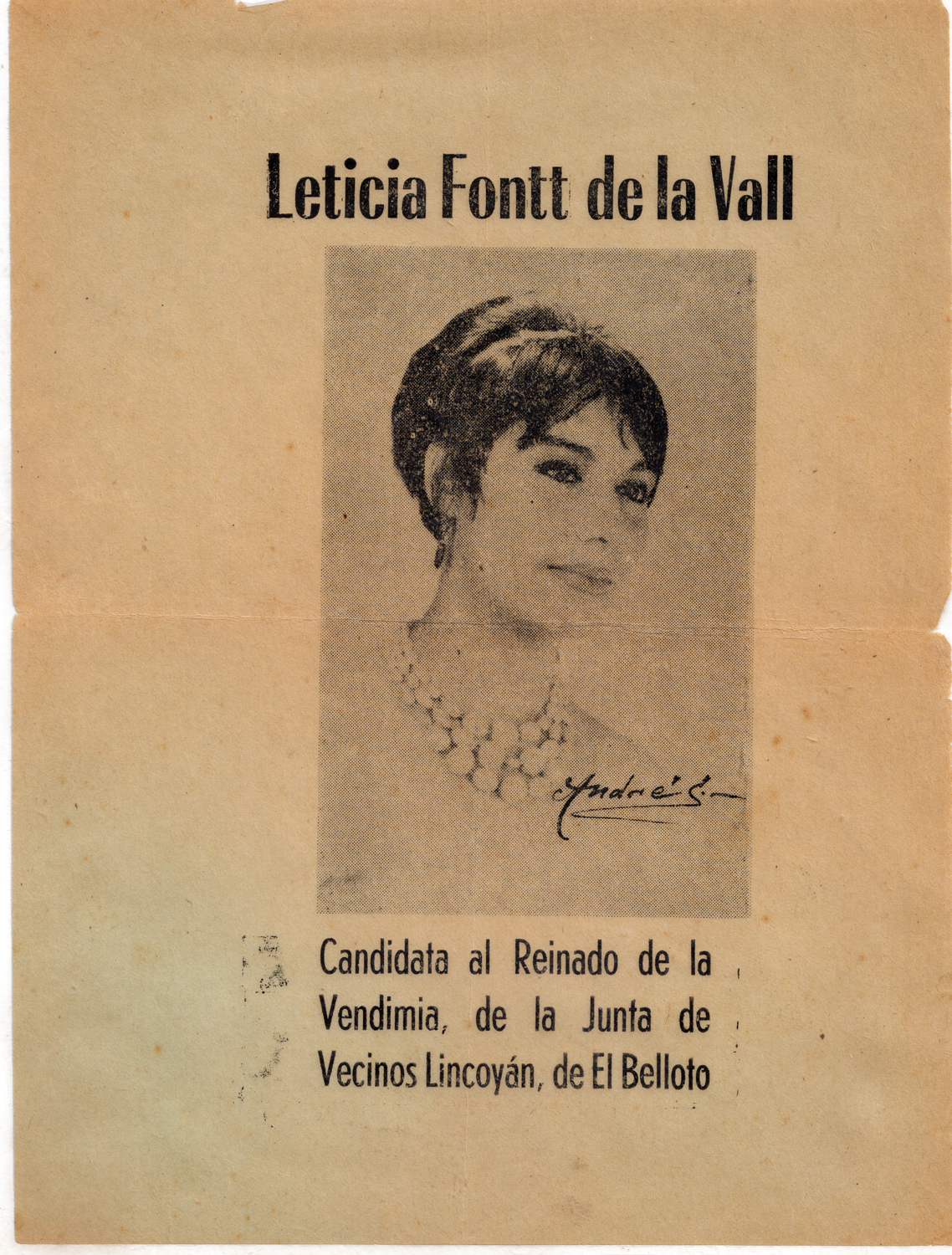 Volante Volante