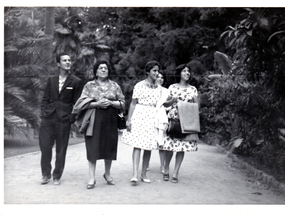 Quinta Vergara