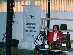 Comunidad indígena