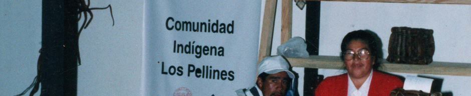 Comunidad indígena