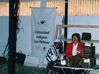 Comunidad indígena