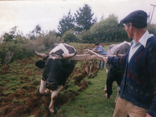 Trabajo de campo