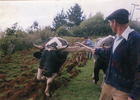 Trabajo de campo