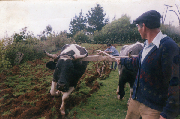 Trabajo de campo