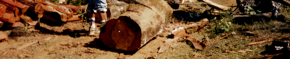 Haciendo leña