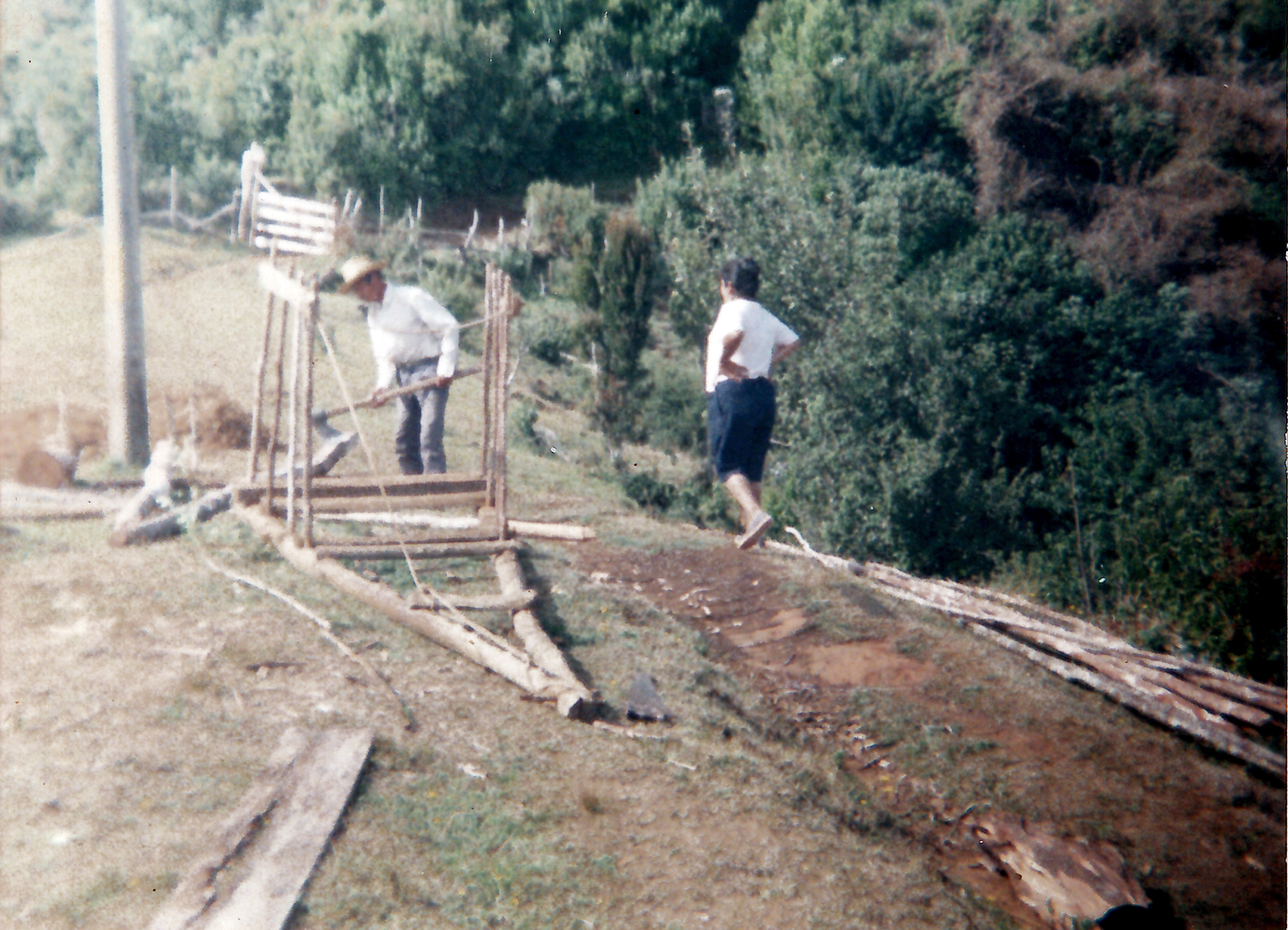 Vida de campo Vida de campo