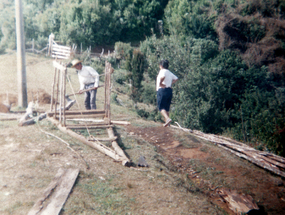 Vida de campo