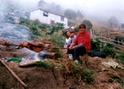 Año nuevo