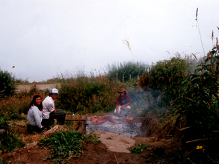 Celebrando