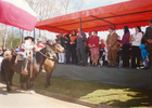 Desfile fiestas patrias