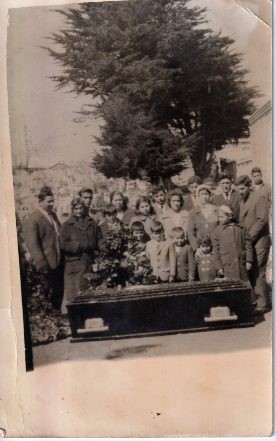 Cementerio Crucero bajo el árbol Cementerio Crucero bajo el árbol