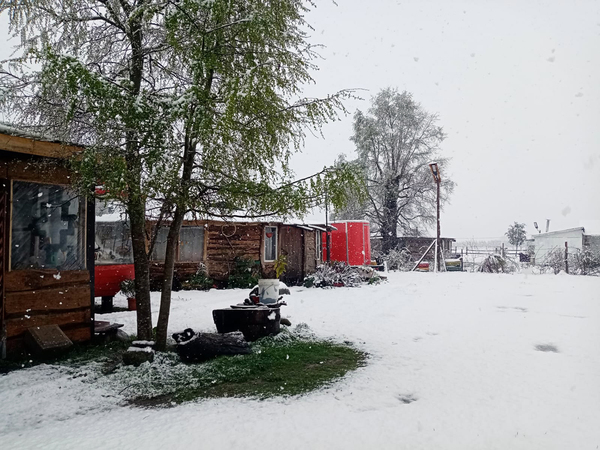 Nieve en el sur